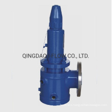 Thermal Insulation Bellows Back Pressure Balanced Fall Lift Safety Valve